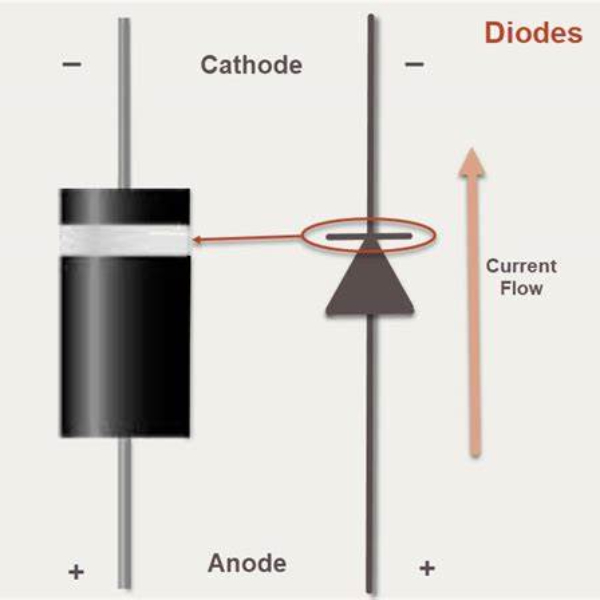 cathode anode diode